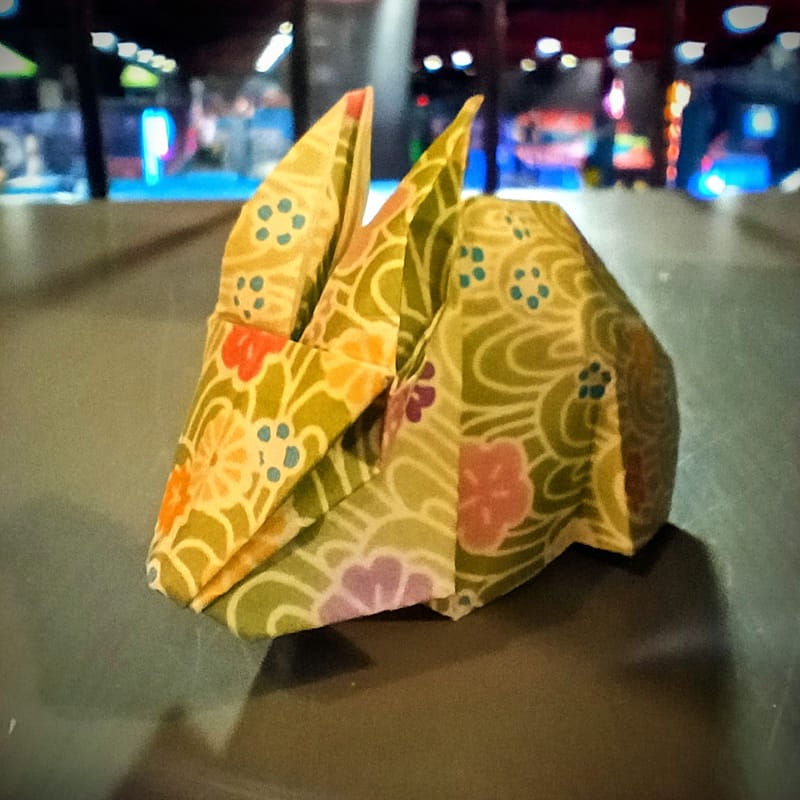 Rabbit with lights in background