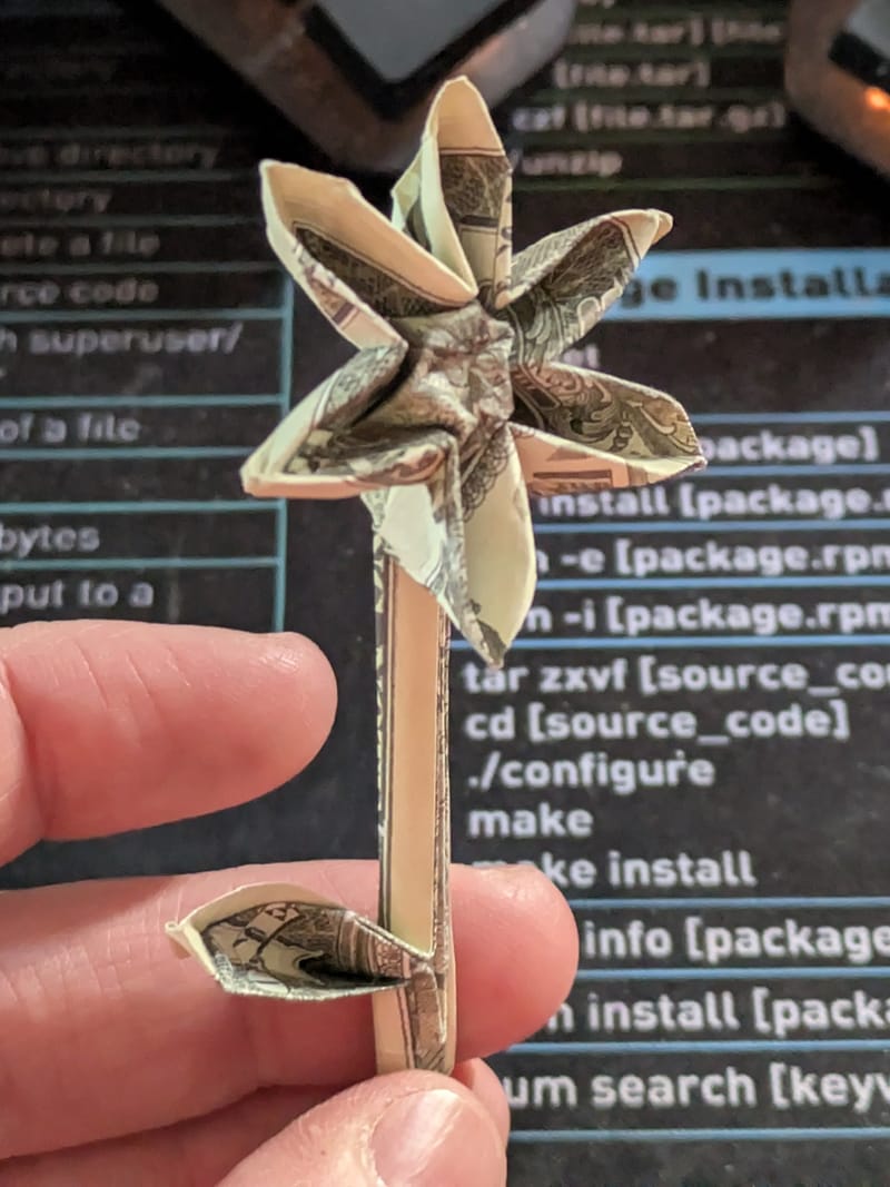 Flower on fake dollar bill